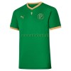 Maillot de Supporter Palmeiras Copa Rio Domicile 70th Anniversaire 2021-22 Pour Homme